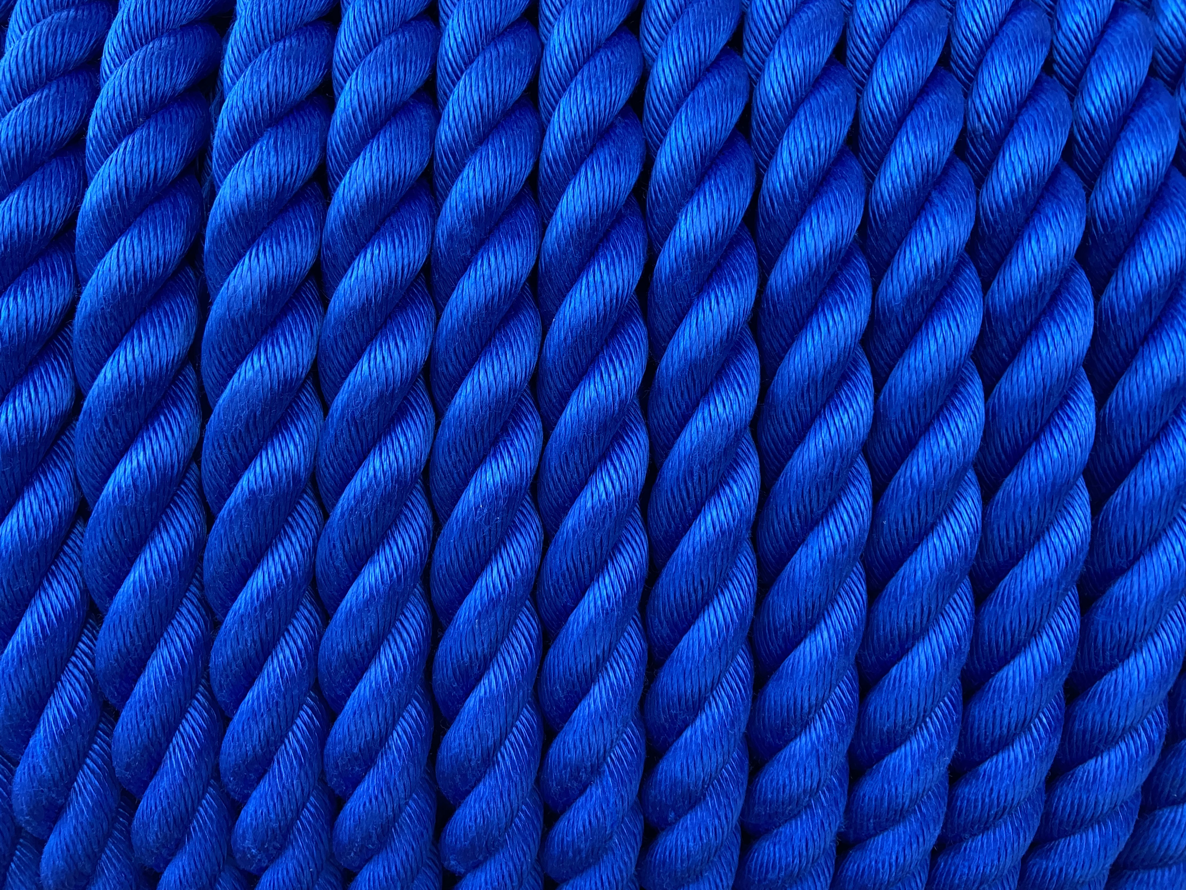 リプロンFロープ 青